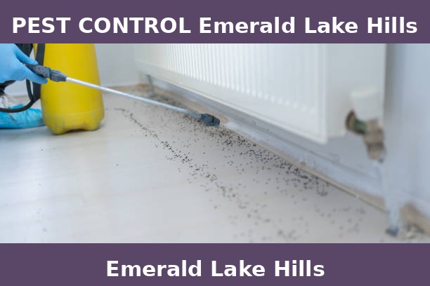 PEST CONTROL Emerald Lake Hills